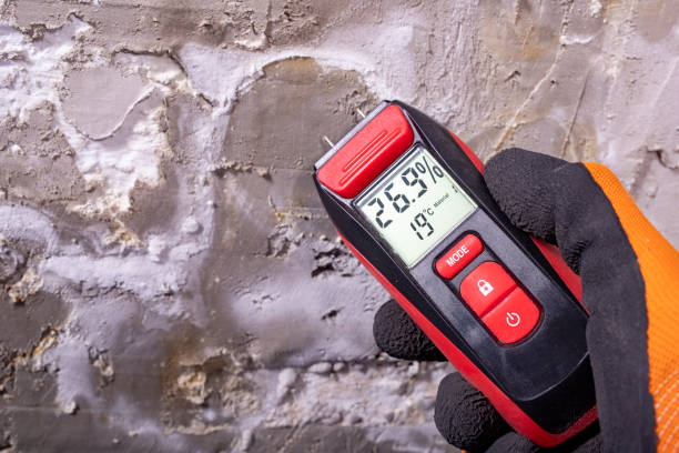 Best Mold Testing  in Salida Del Sol Estates, TX